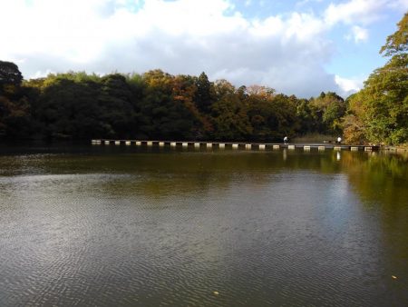 大安トラウトレイク釣果